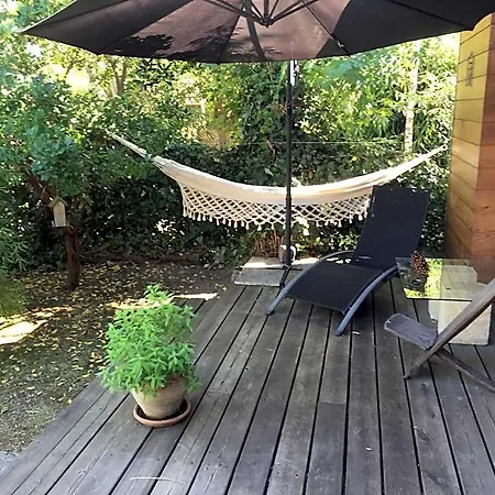 Chambre D'hotes Du Clos Bamboo Merignac (Gironde)