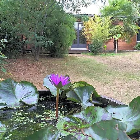 Chambre D'hotes Du Clos Bamboo Bed & Breakfast 3*