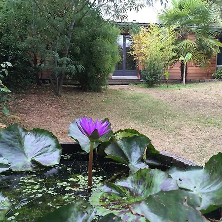 Chambre D'hotes Du Clos Bamboo Merignac (Gironde)