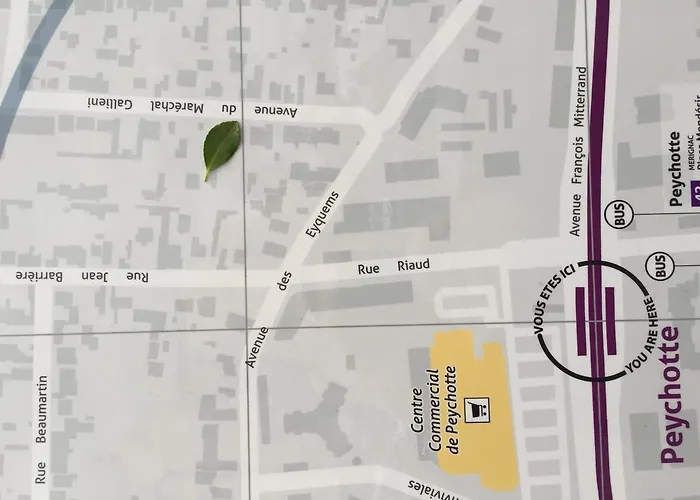 Bed & Breakfast D'hotes Du Clos Bamboo