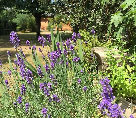 D'hotes Du Clos Bamboo