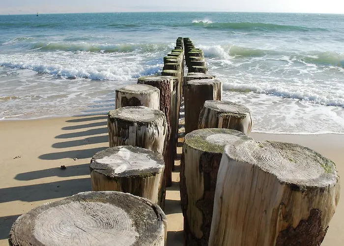 Bed & Breakfast D'hotes Du Clos Bamboo